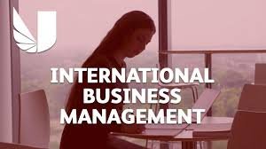 INTERNATIONAL BUSINESS MANAGEMENT