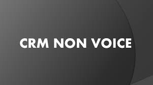 CRM DOMESTIC NON-VOICE