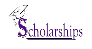 Hani Zeini Scholarship
